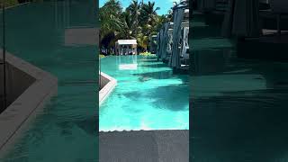 Catalonia Resort Punta Cana DR [upl. by Freeborn]