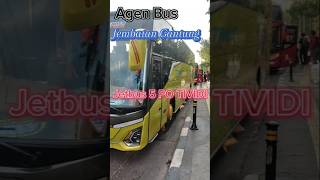 shorts busmania tividi jakarta jogja [upl. by Kere]