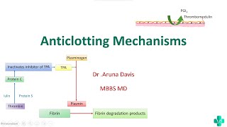 ANTICLOTTING MECHANISM amp FIBRINOLYSIS  HEMATOLOGY  PHYSIOLOGY [upl. by Anerrol]