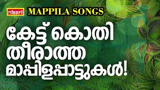 Mappilapattukal  Mappila Pattukal Malayalam  Malayalam Mappila Songs  Old Mappilappattukal [upl. by Idnir]