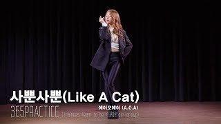 AOA에이오에이  사뿐사뿐Like a Cat 365 Practice [upl. by Vani361]