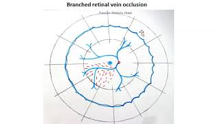 RETINA DRAWING [upl. by Hebner]