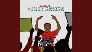 Julius Malema [upl. by Auhsot]