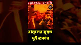 রাসূলের সুন্নত দুই প্রকার  allama delwar hussain saidi waz দেলোয়ারহোসাইনসাঈদী [upl. by Hallett]