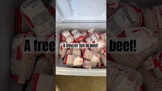 A freezer full of BEEF My RICH lifefreezer beef richlife [upl. by Addiel]