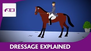 Introduction to Dressage [upl. by Hayn689]