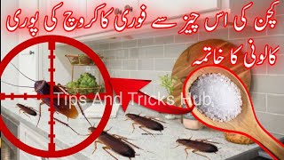 Safe And Effective Way To Kill CockroachesRemedies To Get Rid Of CockroachesKitchen Tips [upl. by Hoi]