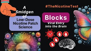 Lowdose Nicotine Patch  Nicotine Protects the brain agains SARSCoV2 Smidge of Science part 3 [upl. by David]