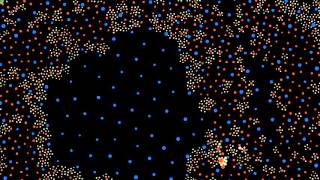 Chromatophore Development [upl. by Anahahs]