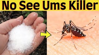 How to get rid of no see ums in yard and pool of the house [upl. by Okramed267]