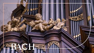 Bach  Vater unser im Himmelreich BWV 682  Smits  Netherlands Bach Society [upl. by Liza]