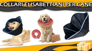 Top Migliore ⊗ Collari Elisabettiani per Cane [upl. by Brade]