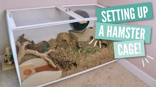 How to Setup a Hamster Cage [upl. by Lamarre443]