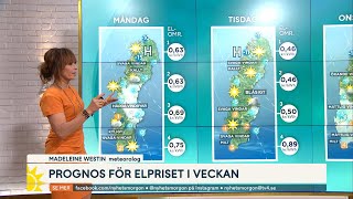 Glädjebeskedet Stabila elpriser väntas framöver  TV4 Nyheterna  TV4 amp TV4 Play [upl. by Eckart]