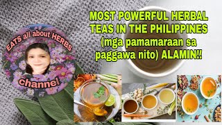 MOST POWERFUL HERBAL TEAS IN THE PHILIPPINES mga pamamaraan ng paggawa nito ALAMIN [upl. by Amleht504]