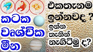 ලග්න පලාඵල  Horoscope Predictions for Cancer Scorpio  Pisces  world horoscope predictions [upl. by Nednerb]