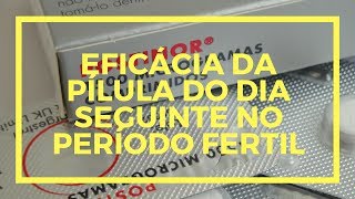 Eficácia da pílula do dia seguinte no período fertil [upl. by Rehsu]