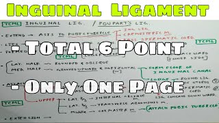 Inguinal Ligament or Pouparts Ligament1 Chart  TCML and ENMEDER [upl. by Navak]