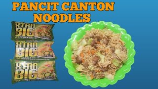 HOW TO COOK XTRA BIG PANCIT CANTON WITH VEGETABLE LUTONG BAHAY [upl. by Kcor414]