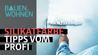 Wandgestaltung Der Wandprofi verrät uns seine Tipps zur Silikatfarbe [upl. by Ennasor]