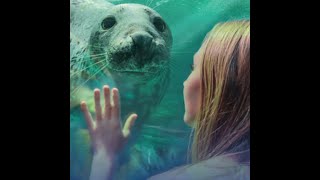 Cornish Seal Sanctuary [upl. by Luby702]