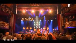 Alcaline le concert Bernard Lavilliers France 2 20140605 [upl. by Bea]