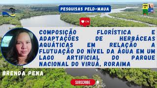 Composição florística e adaptações de herbáceas aquáticas do Parque Nacional do Viruá Roraima [upl. by Demmy438]