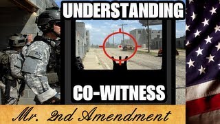 Understanding CoWitness [upl. by Collis708]