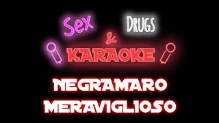 Negramaro Meraviglioso SDK 🎙️ Karaoke HQ 💥 [upl. by Yerffoj311]