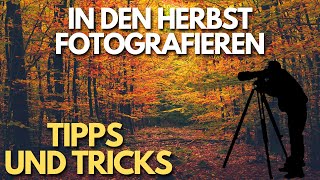 In dem Herbst Fotografieren  Tipps und Tricks [upl. by Humble]