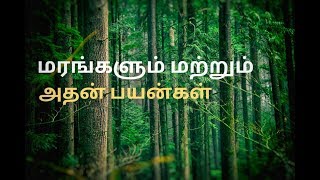 மரங்களும் மற்றும் அதன் பயன்கள்  Marangalum athan payangalum tamil Trees and uses [upl. by Latrina]