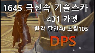 로스트아크 1645 극신속 기술스카 431 카펫 2분 dps [upl. by Ping]