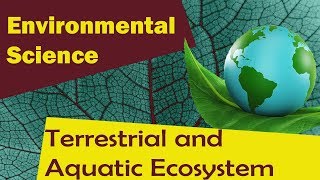 Terrestrial and Aquatic Ecosystem   Environmental Science [upl. by Afrika678]