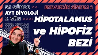 7 Hipotalamus ve Hipofiz Bezi  Endokrin Sistem  11 Sınıf Biyoloji  AYT Biyoloji Kampı 7 Gün [upl. by Nrublim]