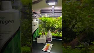 Nitrates are vital for planted tanks youtubeshorts aquarium fishtank plants [upl. by Behah]