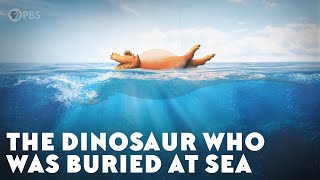 The Dinosaur Who Was Buried at Sea [upl. by Kym901]