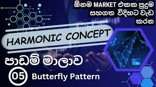 Harmonic Pattern Trading Lesson 5  Technical Analysis  Sinhala [upl. by Orat]