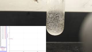 Ammonium chloride and water [upl. by Singh]