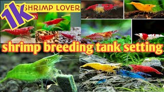 Shrimp breeding tank setting in malayalam  Ornamental shrimp farming Kerala  Shrimps breeding [upl. by Albertine]