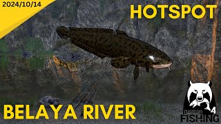 Burbot Hotspot Belaya River Russian Fishing 4 [upl. by Koch]