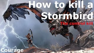 Horizon Zero DawnHow to kill a Stormbird using Ropecaster and FirePrecision ArrowPS4PRO Gameplay [upl. by Bank]