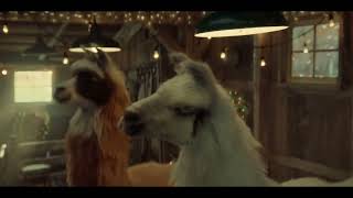 Amazon  Llamacita Christmas Ad [upl. by Yleme]