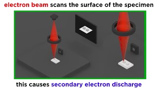 Electron Microscopy TEM and SEM [upl. by Luca]