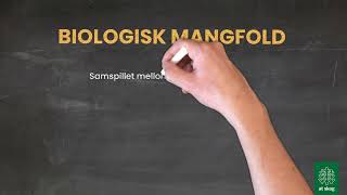 Biologisk mangfold og skog [upl. by Gotthelf]