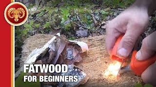 Fatwood for Beginners How to start a fire with fatwood and ferro rod [upl. by Jeremy272]