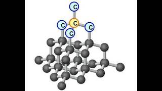 Allotropy and Allotropic forms of Carbon  Chemistry  2021 [upl. by Esaele179]