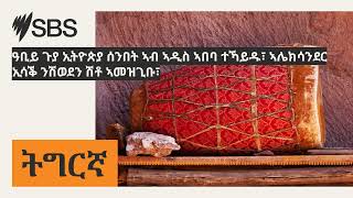 ዓቢይ ጉያ ኢትዮጵያ ሰንበት ኣብ ኣዲስ ኣበባ ተኻይዱ፣ ኣሌክሳንደር ኢሳቕ ንሽወደን ሽቶ ኣመዝጊቡ፣  SBS Tigrinya  ኤስቢኤስ ትግርኛ [upl. by Lorine204]