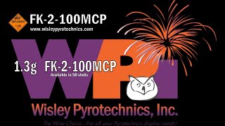 Wisley Pyrotechnics Inc FK2100MCP 13g firework cake [upl. by Sedlik]