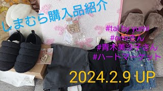 【Haul】しまむら購入品紹介＊202429talby yumiomiさん青木美沙子さんHelm [upl. by Kevyn]