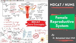 MDCAT  Female Reproductive Cycle  Menstrual Cycle  Hormonal control [upl. by Sarilda837]